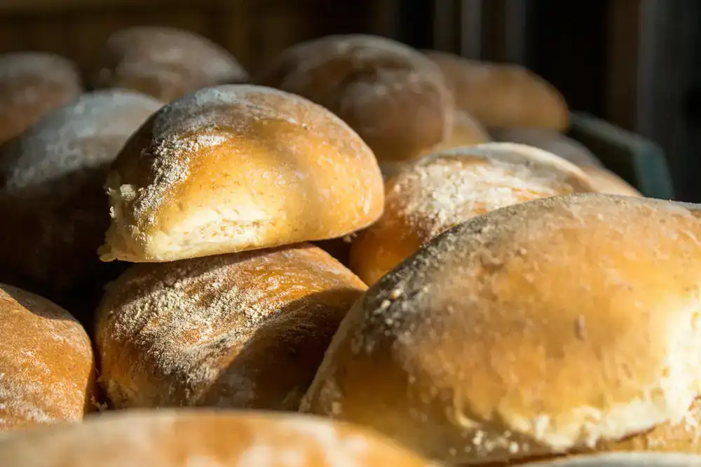 Hogazas de pan de masa madre recién horneadas