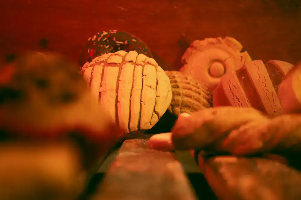 Pan integral en el horno